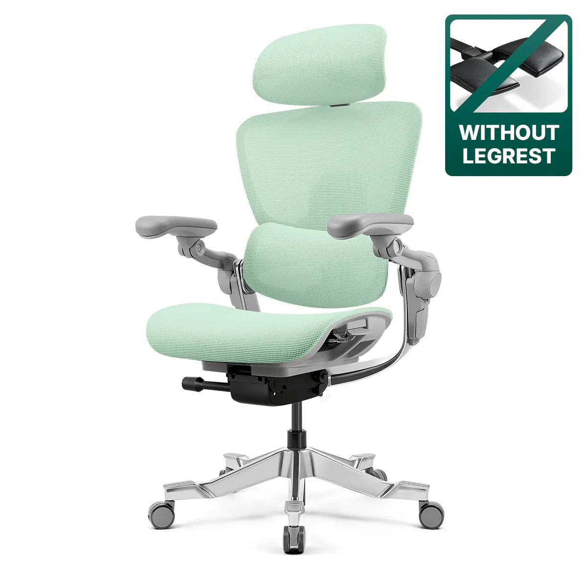 Gur Ergonomic Office Chair, Big and Tall Office Chair, Dynamic Lumbar Support, 3D Adjustable Headrest, 4D Adjustable Armrests, Swivel Computer Chair,