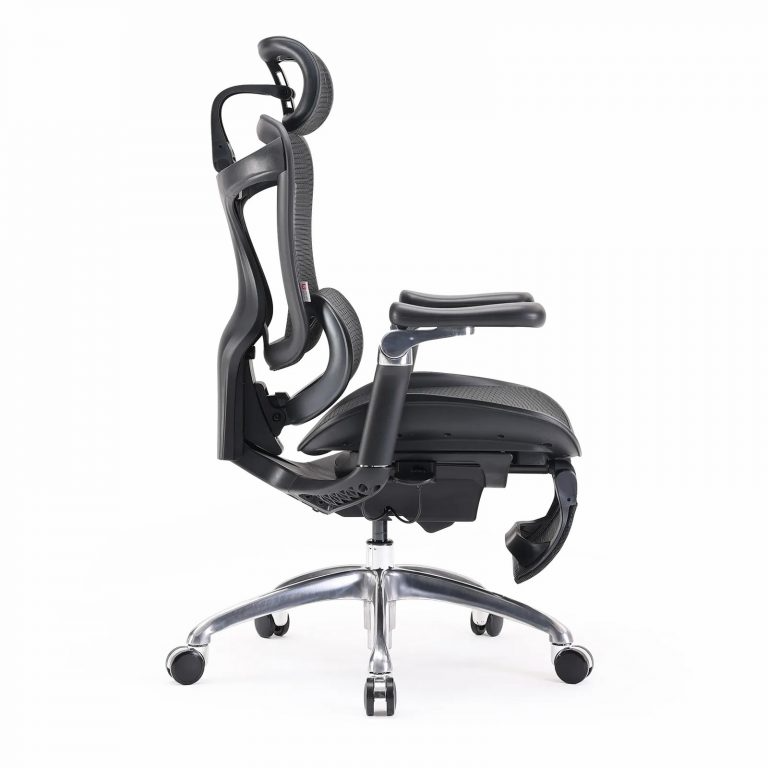 Doro Office Chair, Lumbar Support, Adjustable Headrest, 6D Armrest Recliner Chair for Office