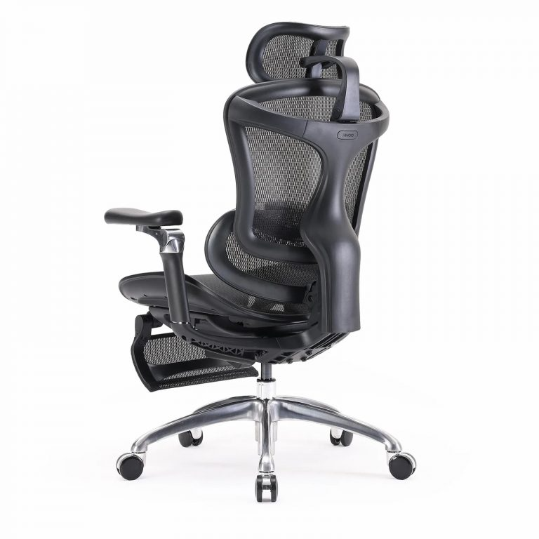 Doro Office Chair, Lumbar Support, Adjustable Headrest, 6D Armrest Recliner Chair for Office