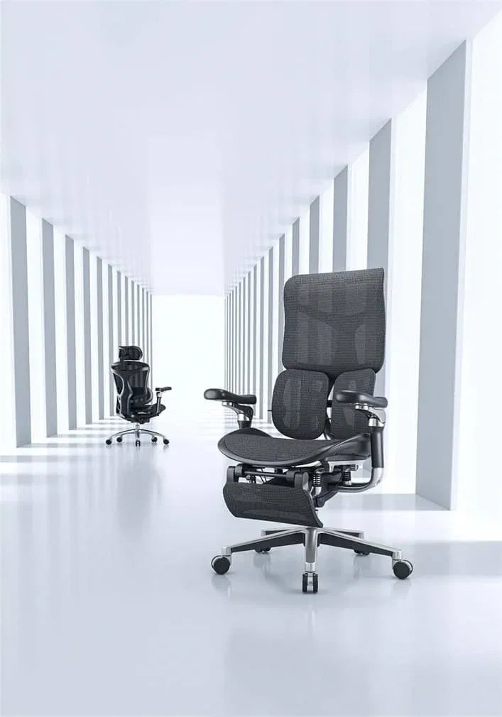Doro Office Chair, Lumbar Support, Adjustable Headrest, 6D Armrest Recliner Chair for Office