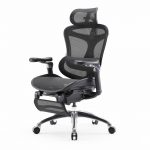 Doro Office Chair, Lumbar Support, Adjustable Headrest, 6D Armrest Recliner Chair for Office