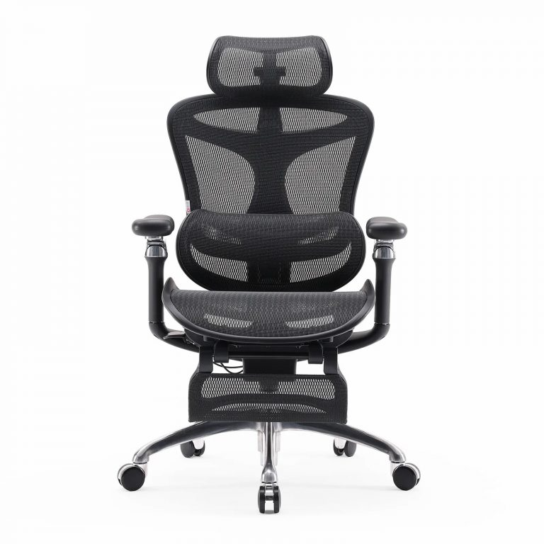 Doro Office Chair, Lumbar Support, Adjustable Headrest, 6D Armrest Recliner Chair for Office
