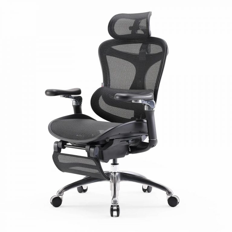 Doro Office Chair, Lumbar Support, Adjustable Headrest, 6D Armrest Recliner Chair for Office