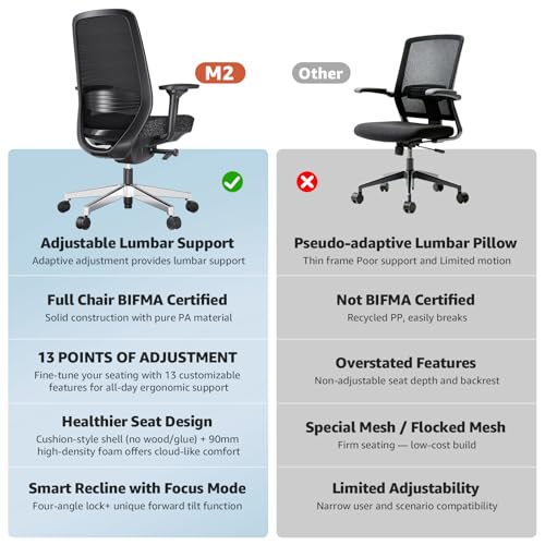 Ergonomic Office Chair - High-Back Mesh Desk Chair with Adjustable Lumbar Support 4D Armrests for Long Hours Sitting Black
