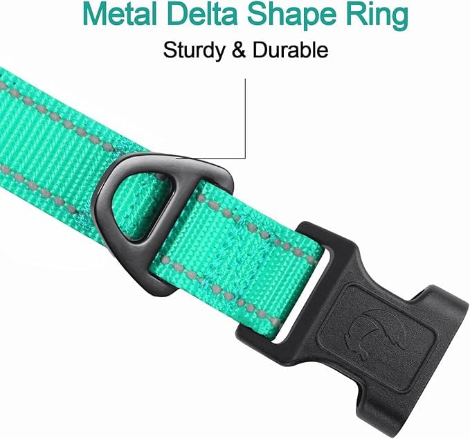 Reflective Dog Collar, Soft Neoprene Padded, Metal D-Ring, Nylon Pet Collar Adjustable for Medium Dogs, Teal, M