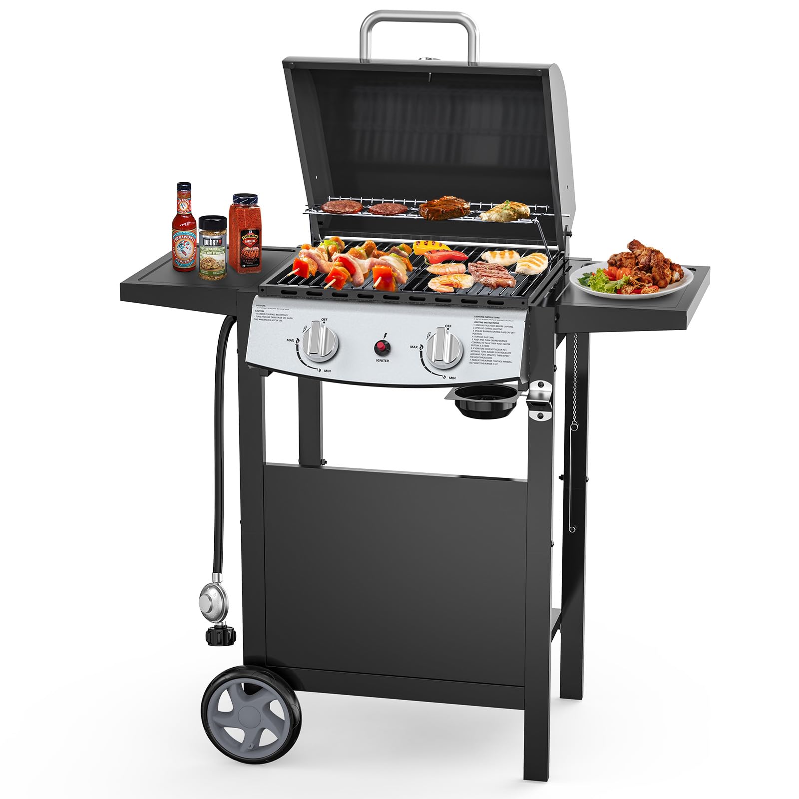 2-Burner Propane Gas BBQ Grill, 20,000 BTU Stainless Steel Grill with Side Shelves and Wheels, Portable Outdoor Grill for Patio, Backyard, Garden, or Camping Cooking