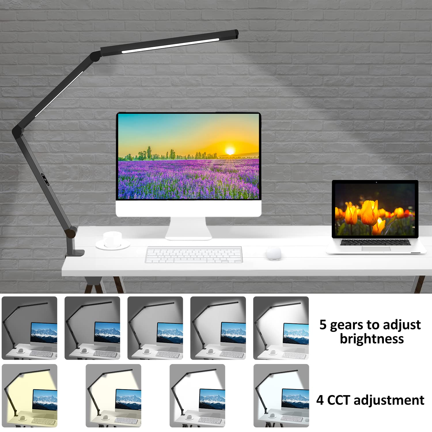 LED Desk Lamp with Clamp, Architect Desk Lamp with Dual Light and Adjustable Swing Arm, Clip-on Eye-Care 4 CCT Modes & 5 Brightness Levels Table Light Modern Computer Lighting for Home Office