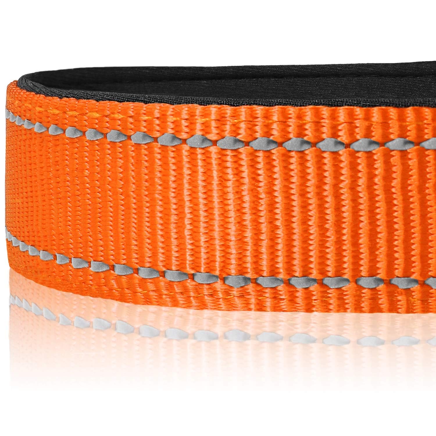 Reflective Dog Collar, Soft Neoprene Padded, Metal D-Ring, Nylon Pet Collar Adjustable for Medium Dogs, Orange, M