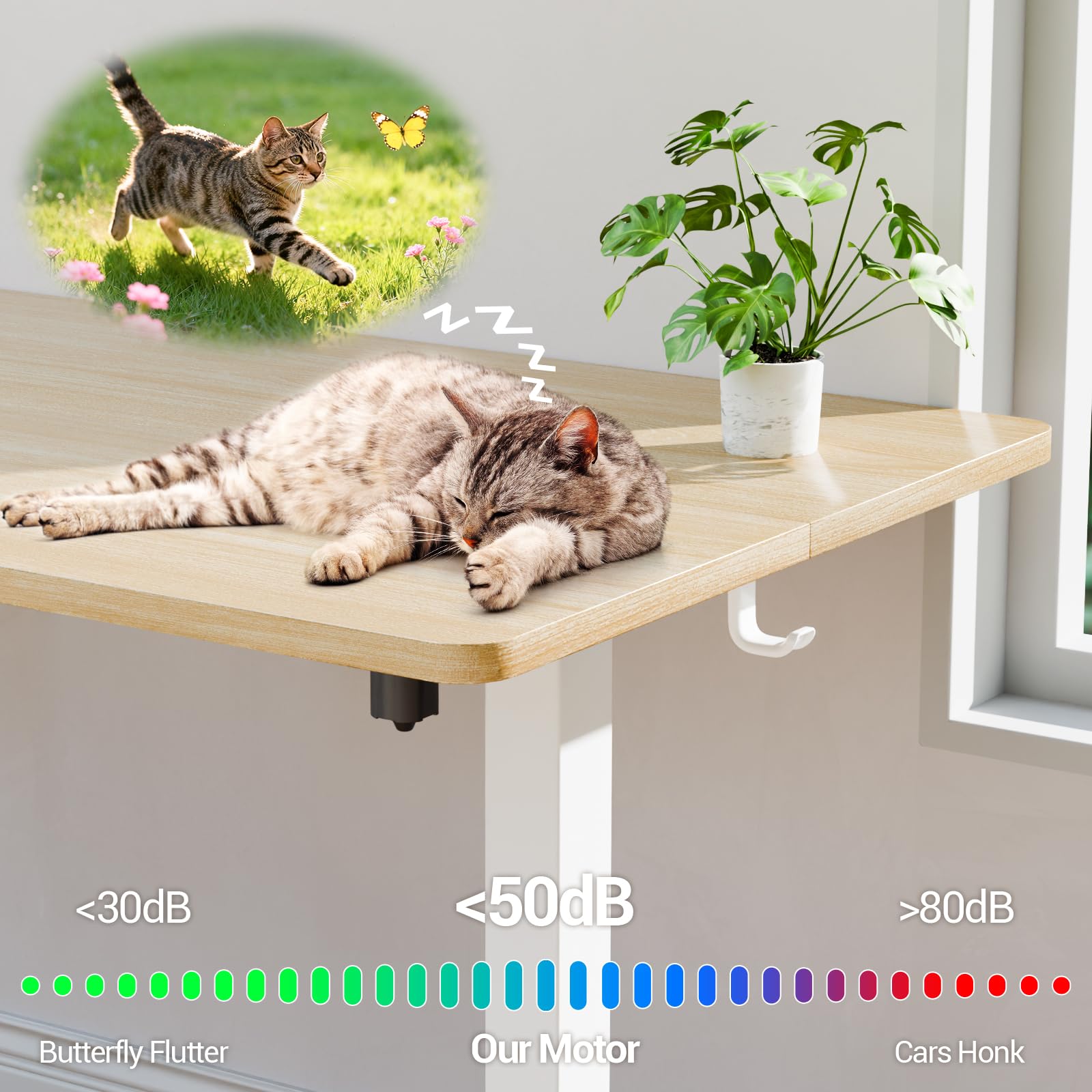 55 Inch Large Electric Standing Desk, 4 Memory Heights Adjustable,Sit to Stand Up, Work Home Office Computer Table for Study, Walking Pad, Writing, and Games, Wooden Desktop Desks, Nature Wood