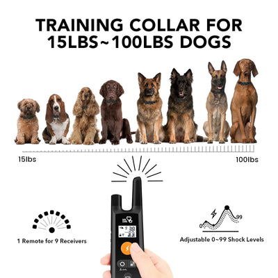 Dog Training Collar with Remote - Shock Collar for All Dogs with 1800FT Remote, Rechargeable Bark Control with Beep/Vibration/Shock Modes, Security Lock, Rainproof