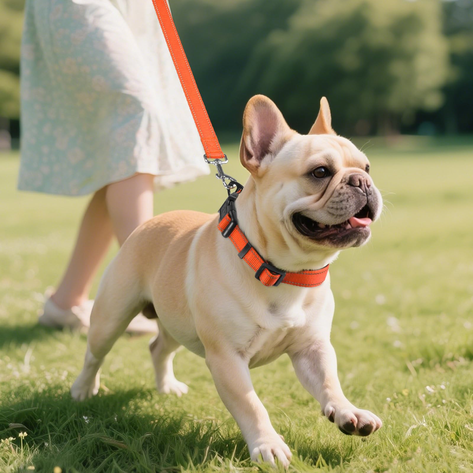 Reflective Dog Collar, Soft Neoprene Padded, Metal D-Ring, Nylon Pet Collar Adjustable for Medium Dogs, Orange, M