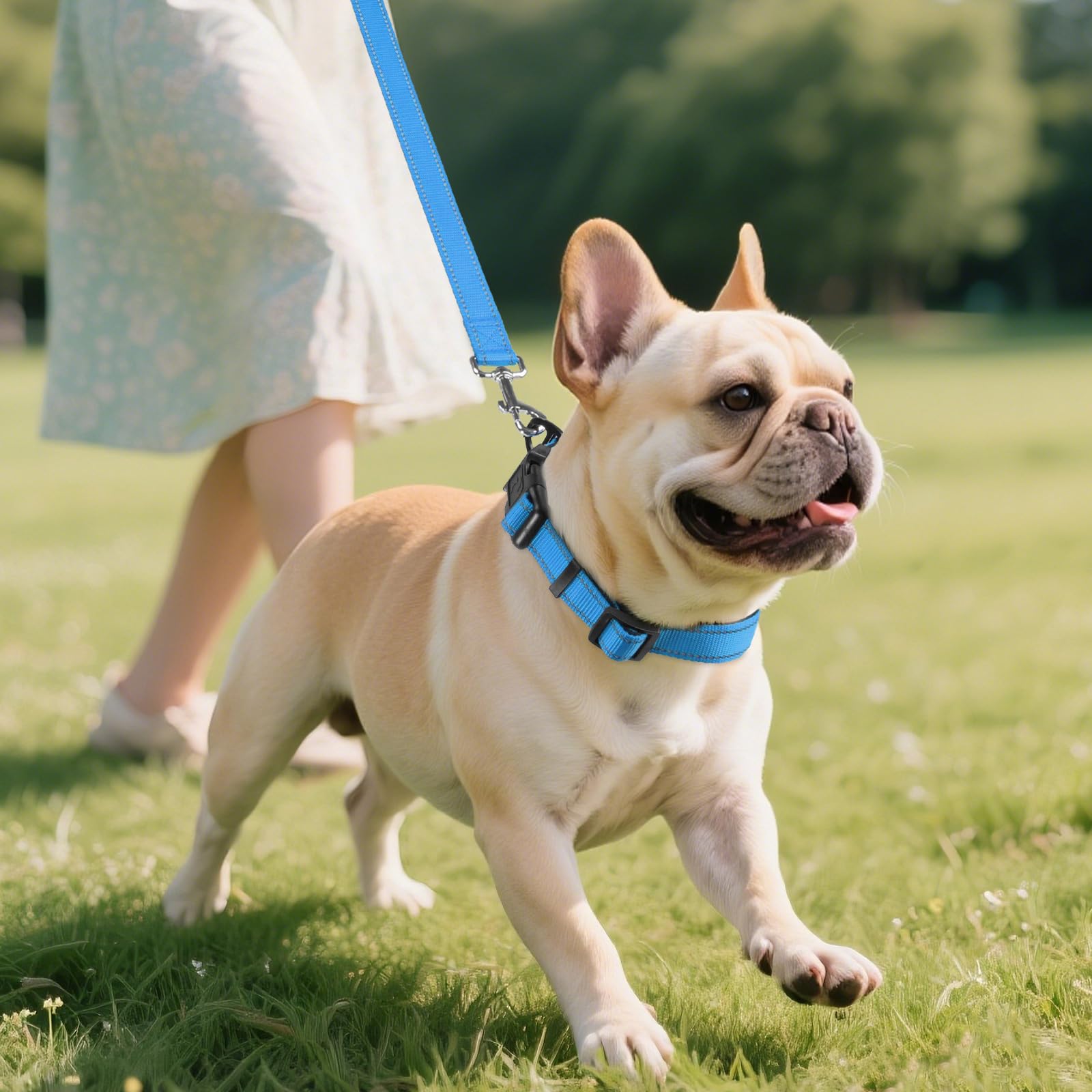 Reflective Dog Collar, Soft Neoprene Padded, Metal D-Ring, Nylon Pet Collar Adjustable for Medium Dogs, Sky Blue, M