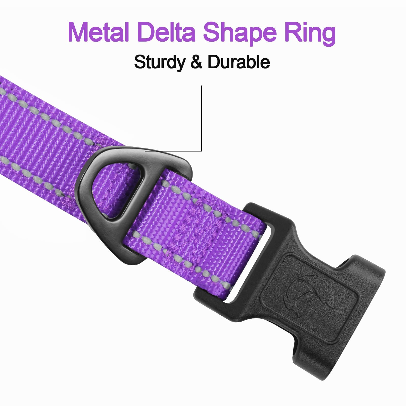 Reflective Dog Collar, Soft Neoprene Padded, Metal D-Ring, Nylon Pet Collar Adjustable for Medium Dogs, Purple, M