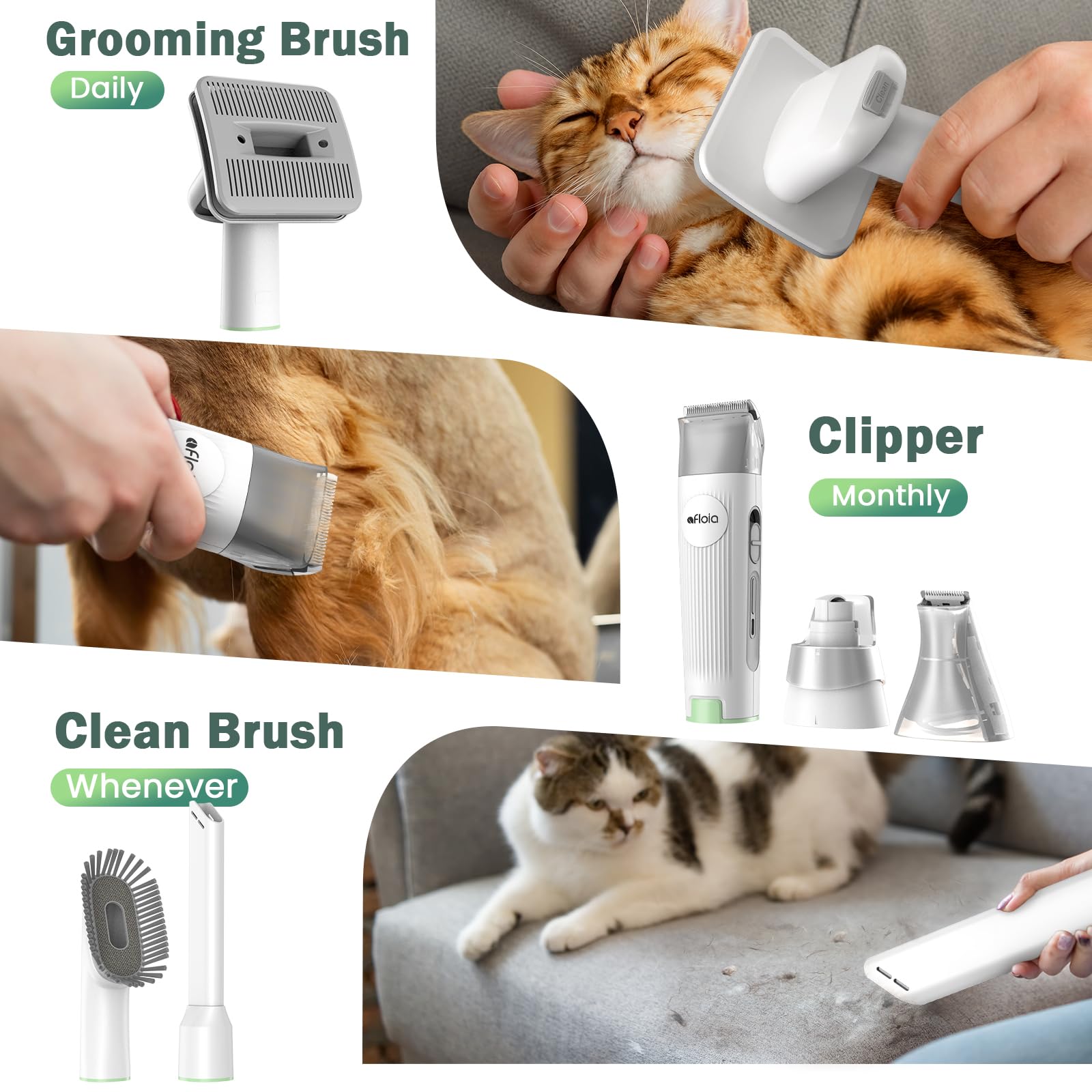 6-in-1 Dog Grooming Kit, Pet Grooming Vacuum for Shedding, Dog Hair Vacuum with Clipper Nail Trimmer Grinder, Pet Brush Groomer at Home, Low Noise Cats Hair Remover, 1.5L Dust Cup, Green