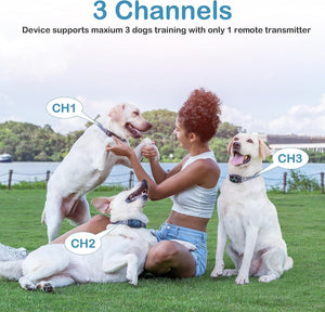 Dog Training Collar, Dog Shock Collar with Remote Control, 2500FT and 4 Training Modes Beep, Vibration, Electric Shock, IP67 Waterproof Rechargeable E-Collar for All Breed