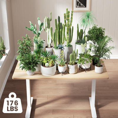 55 Inch Large Electric Standing Desk, 4 Memory Heights Adjustable,Sit to Stand Up, Work Home Office Computer Table for Study, Walking Pad, Writing, and Games, Wooden Desktop Desks, Nature Wood