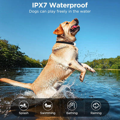 Dog Shock Collar, 3300ft Dog Training Collar with Remote, IPX7 Waterproof Rechargeable Sleek Modern Shock Collar for Small, Medium, Large Dogs with Beep, Vibration, Safety Shock, Light Mode, 8-120 lbs