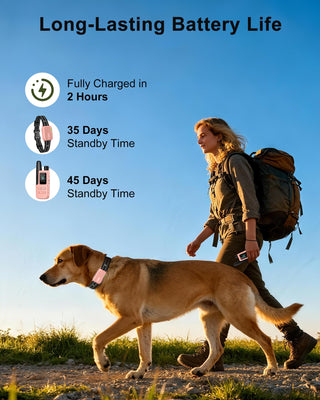 Dog Shock Collar - 4500FT Dog Training Collar with Remote, IPX8 Waterproof Electric Dog Collar with 4 Training Modes, Security Lock, Rechargeable eCollar for 10-120lbs Dogs(Pink)