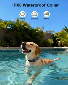 Dog Shock Collar - 4500FT Dog Training Collar with Remote, IPX8 Waterproof Electric Dog Collar with 4 Training Modes, Rechargeable eCollar for 10-120lbs Small Medium Large Dogs(NBU)