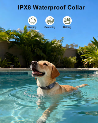 Dog Shock Collar - 4500FT Dog Training Collar with Remote, IPX8 Waterproof Electric Dog Collar with 4 Training Modes, Rechargeable eCollar for 10-120lbs Small Medium Large Dogs(NBU)