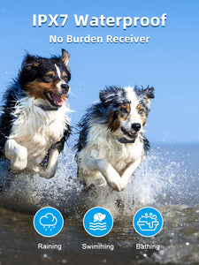 Dog Training Collar with Remote - 4000ft Waterproof Dog Shock Collars 2 Dogs for Large Medium Small Dogs Rechargeable E Collars for Dogs Training with Beep Vibration Humane Shock(1-16) Mode